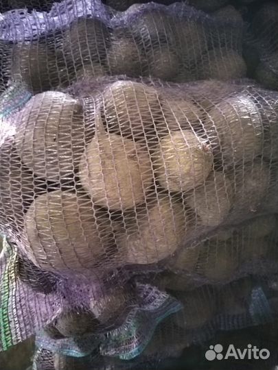 Продаем свеклу