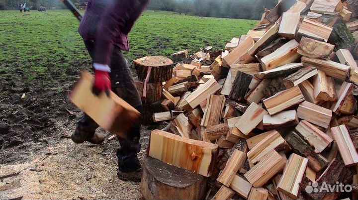Дрова 30 см