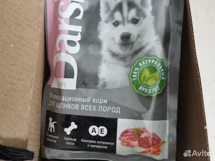 Корм для собак влажный