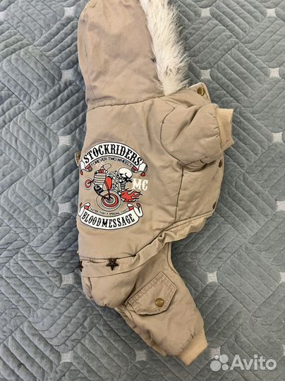 Одежда для собак зима