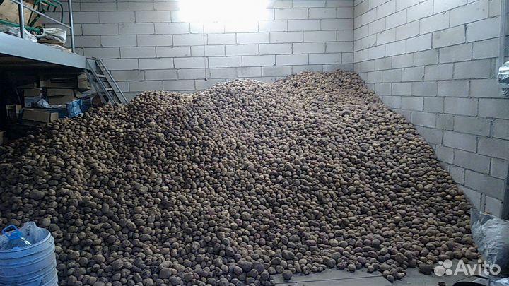 Продам картофель с доставкой