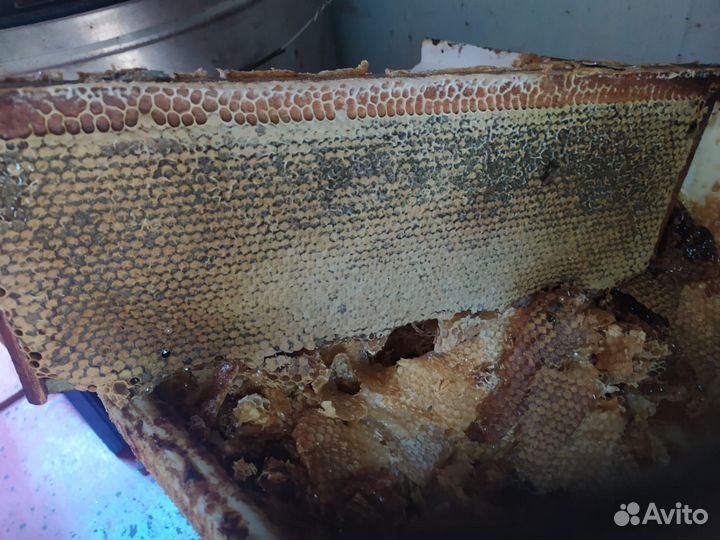 Продается пчелиный павильон