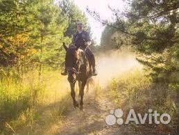 Прогулка на лошадях, пони. Рыбалка Баня