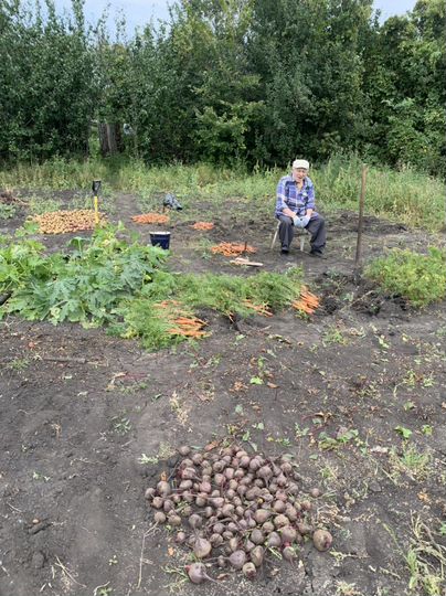 Участок 20 сот. (СНТ, ДНП)