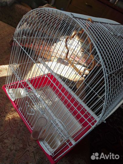 Клетка для волнистого попугая