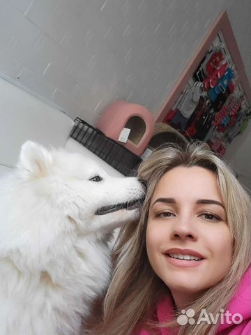 Груминг собак и кошек. Зоотакси, выезд на дом