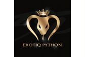 EXOTIQ PYTHON - эксклюзивные аксессуары из кожи питона и крокодила