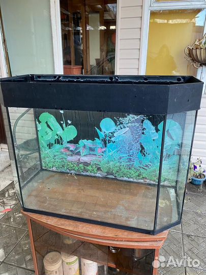 Аквариум