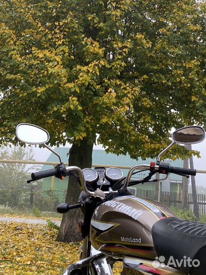 Motoland Alpha VR 11