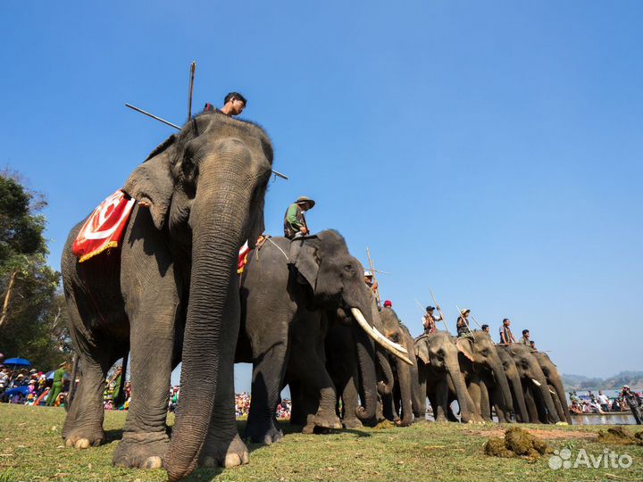 Тур-путешествие в Vietnam на 7 нч за двоих