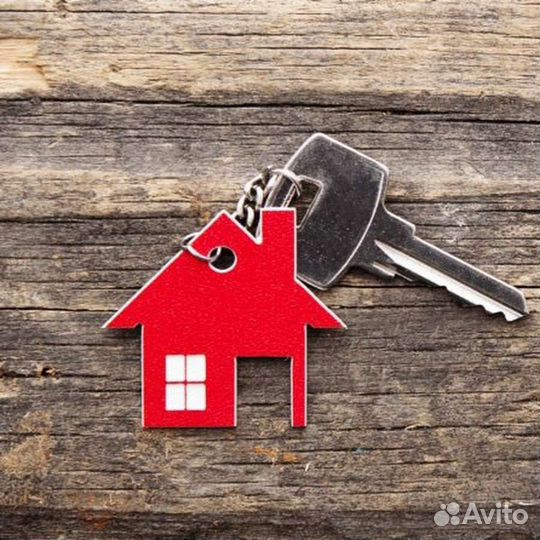 Деловые услуги