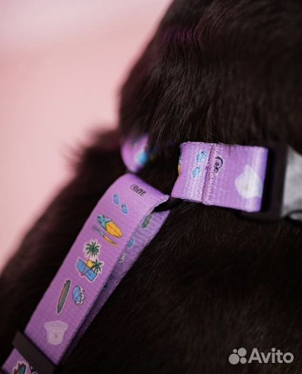 Анатомическая шлейка для собак