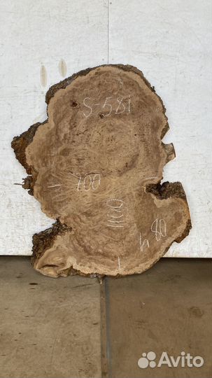 Спилы слэбы из дуба карагача тополя бука