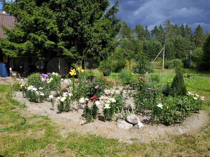 Дом 44,8 м² на участке 20 сот.