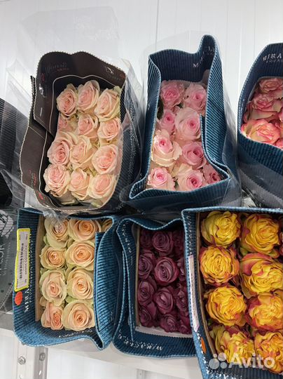 Розы букеты