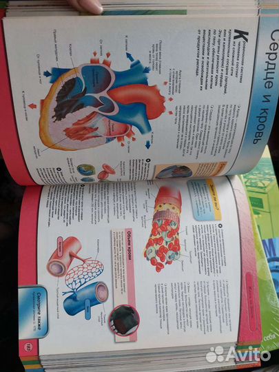 Большая энциклопедия знаний (Росмэн)