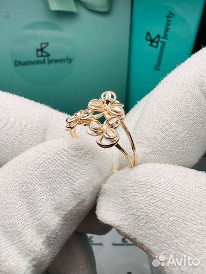 Золотое кольцо