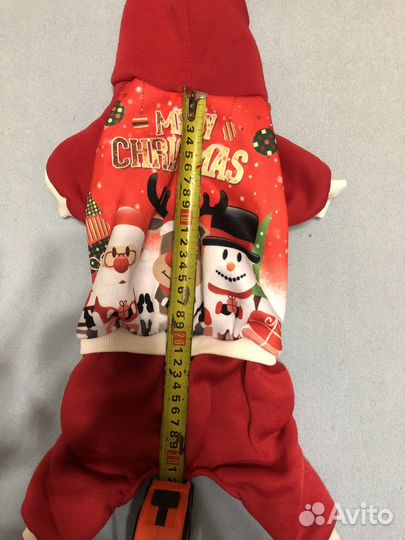 Одежда для мини йорка