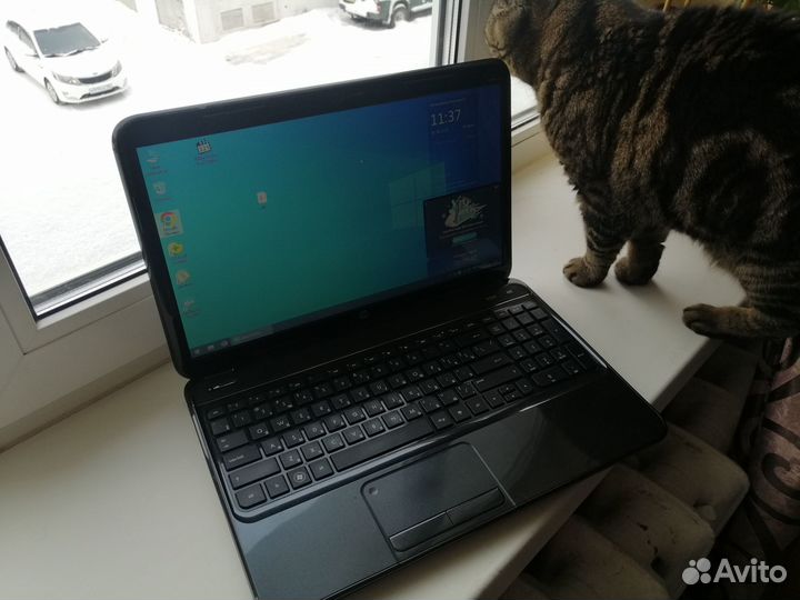Мощные ноутбуки hp pavilion g6, Dell
