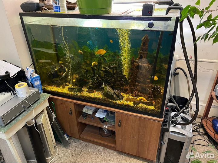 Аквариум с тумбой и фильтром