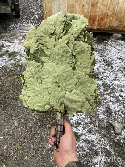 Веники для бани