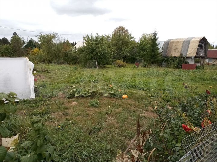 Участок 6,8 сот. (СНТ, ДНП)