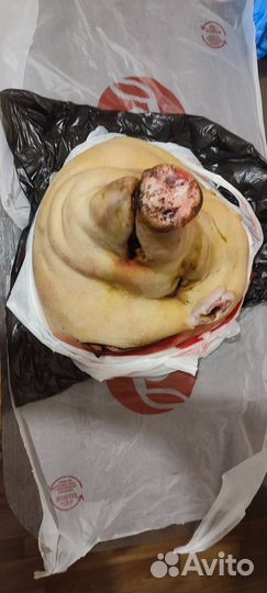 Продукты питания