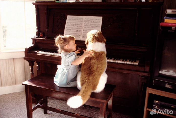 Пианино Б/У для (Начинающих Детей) Большой Выбор