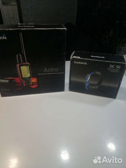 Gps ошейник для собак