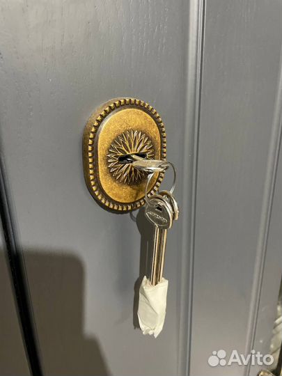 Входная металлическая дверь с ковкой