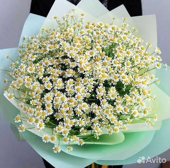 Букеты ромашек