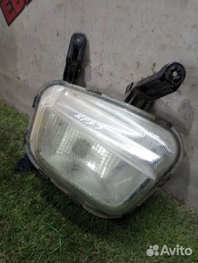 Птф передняя правая Kia Rio 3