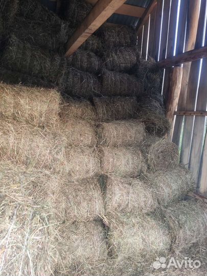 Сено в тюках, рулонах