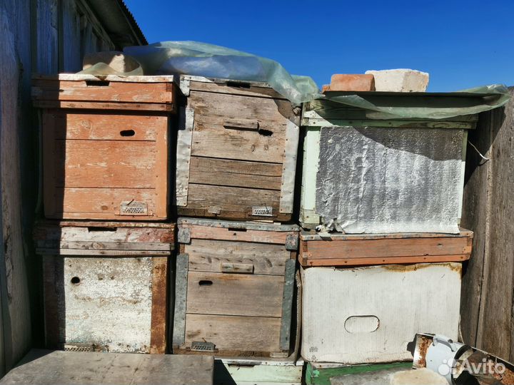 Нуклеусы(улья)