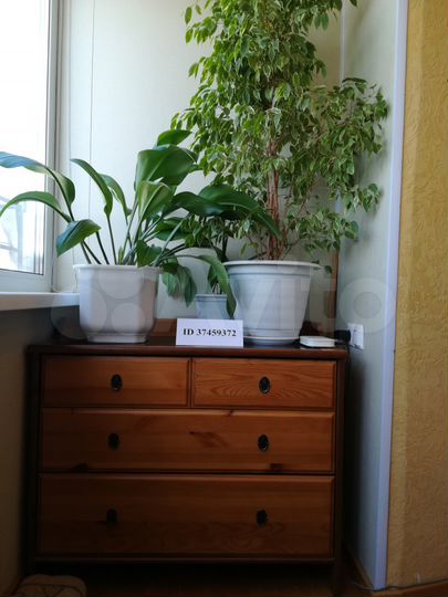 1-к. квартира, 35 м², 8/10 эт.