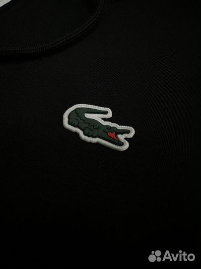 Спортивный костюм lacoste все размеры