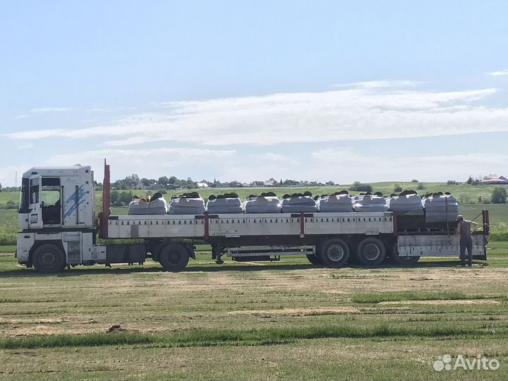 Рулонный газон продажа