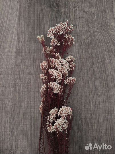 Стабилизированные розы и сухоцветы