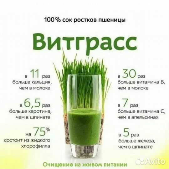 Витграсс, натуральный источник витаминов