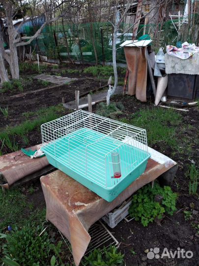 Клетка для грызунов большая