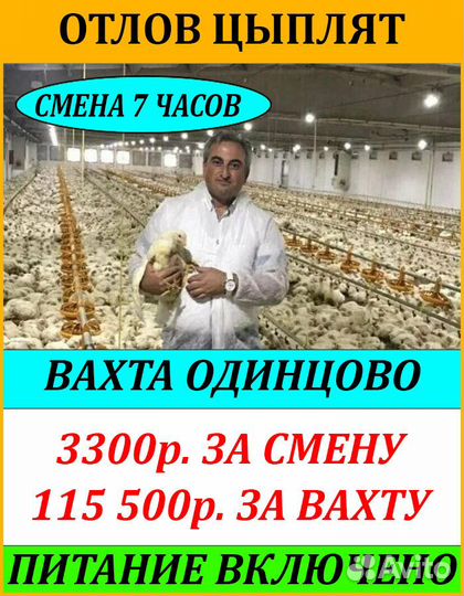 Работник на птицефабрику 