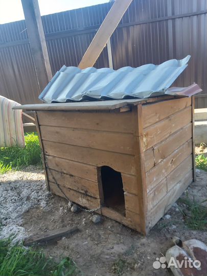 Будка для собаки