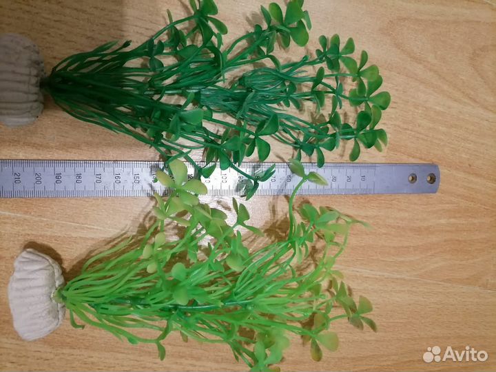 Искусственные растения