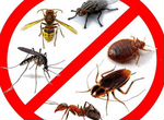 Уничтожение Тараканов Муравьев и других насекомых