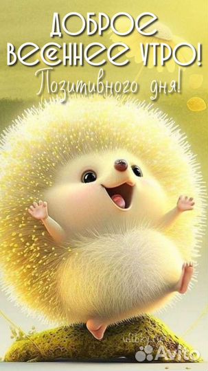 Комбикорм для свиней