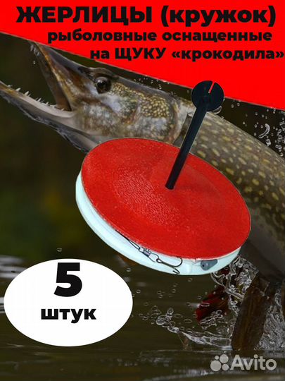 Кружки оснащенные для рыбалки летние жерлицы
