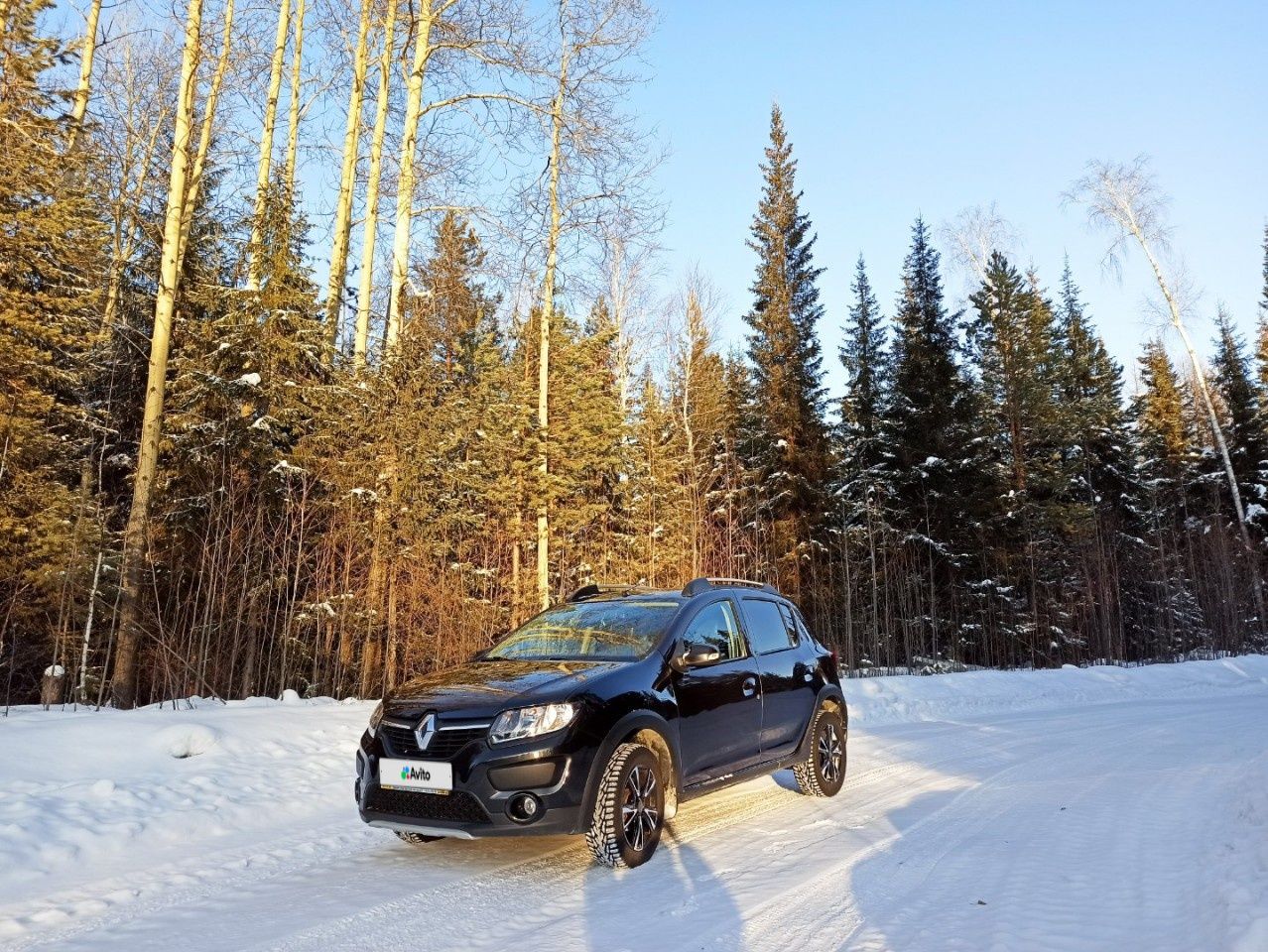 Renault Sandero Stepway: фото владельца
