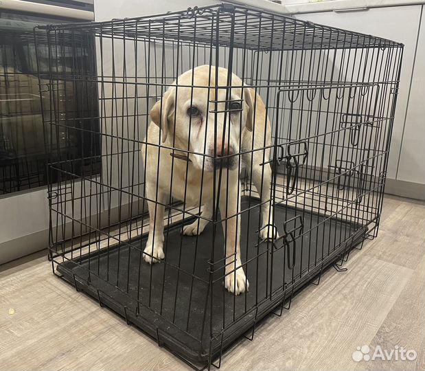 Клетка для собак