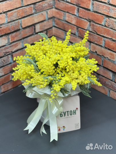 Мимоза букет цветы тюльпаны