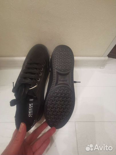 Кеды geox нат кожа